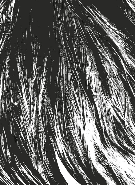 Tekstur Menegang Bulu Burung Latar Belakang Vektor Grunge Gambar Abstrak - Stok Vektor