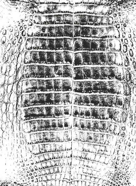 ワニやヘビ皮膚革 グランジ ベクトルの背景の苦しめられたオーバーレイ テクスチャ — ストックベクタ