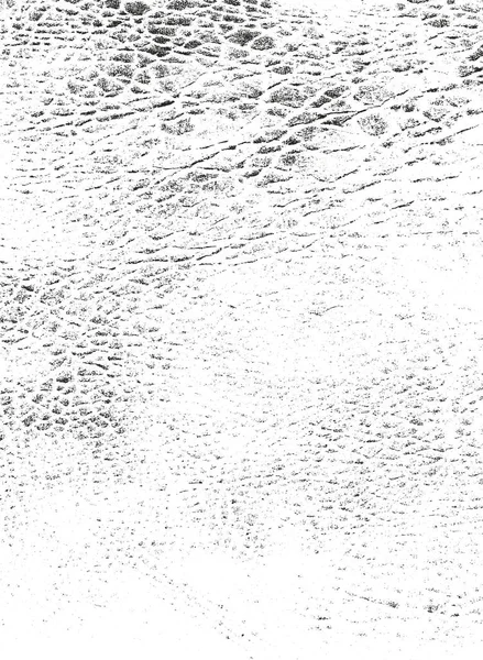 Distressed Overlay Textur Aus Naturleder Grunge Vektor Hintergrund Abstrakte Halbtonvektorillustration — Stockvektor