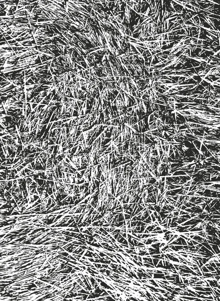 Zoufalý Překrytí Textura Suché Trávy Zemi Grunge Pozadí Abstraktní Polotónů — Stockový vektor