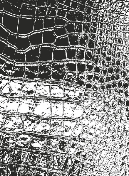 Textura Superpuesta Angustiada Piel Cocodrilo Serpiente Fondo Vector Grunge — Vector de stock