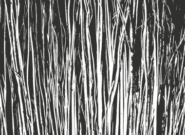 Sıkıntılı kaplaması ahşap kabuk dokusu