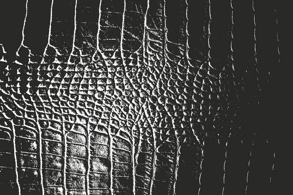 Сумнівна текстура шкіри тварин — стоковий вектор
