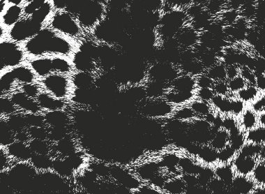 Doğal kürk sıkıntılı yerleşim dokusu