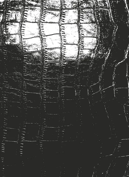 Distressed overlay animal skin texture Vector Graphics