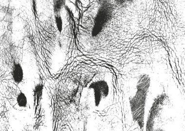 Doğal deri kaplamasının sıkıntılı dokusu