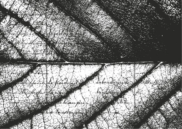 Сжатые накладываемые деревянные листья макро текстуры с полосами. гранж черно-белый фон. абстрактная векторная иллюстрация — стоковый вектор