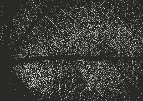 Distressed superposition de feuilles en bois macro texture avec des stries. fond noir et blanc grunge. illustration vectorielle abstraite — Image vectorielle