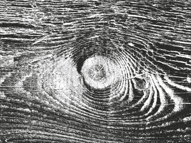 Sıkıntılı kaplaması ahşap kabuk dokusu