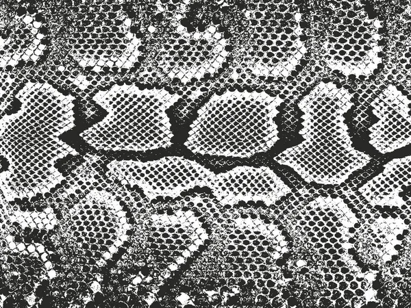 Distressed overlay animal skin texture Vector Graphics