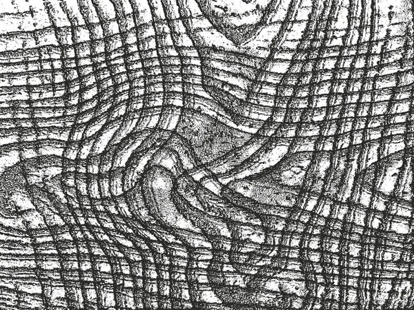 Texture en bois d'écorce de superposition perturbée — Image vectorielle