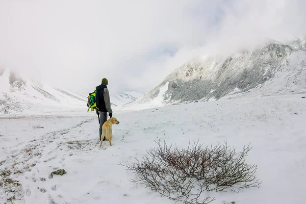 Homem Cão Labrador Caminhar Nas Montanhas Nubladas — Fotografia de Stock