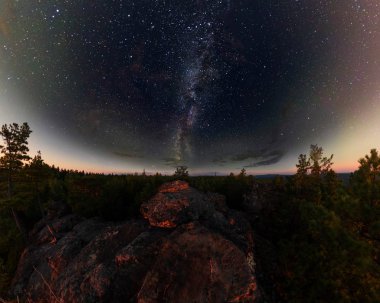 Dawn ormandaki bir Samanyolu yıldızlı gökyüzü altında. Panorama.