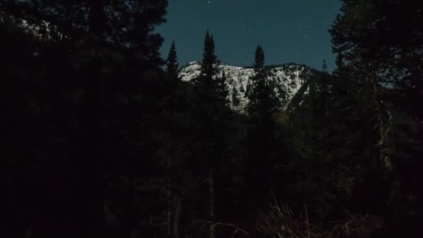 Timelapse di movimento 4K. srar cielo notturno sopra la foresta e la montagna — Video Stock