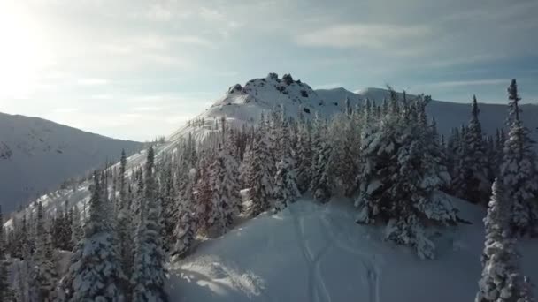 Aérien de drone skieur ski de randonnée dans les montagnes enneigées en montée dans une ligne — Video