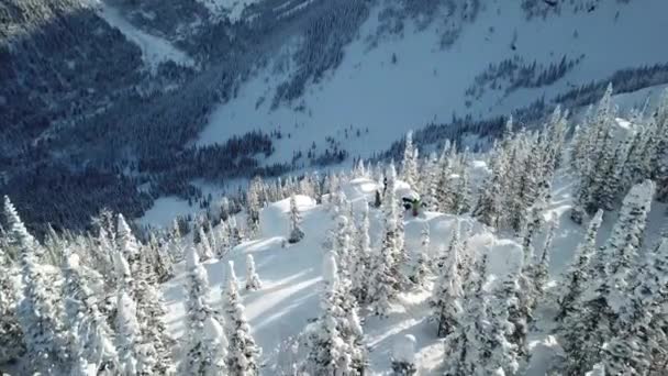 Widok z lotu ptaka drone freerider snowboardzista spadek puszysty śnieg — Wideo stockowe