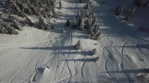 Vue aérienne drone freerider snowboarder tour dans la neige poudreuse — Video