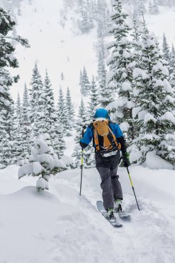 Erkek kayakçı freeride skitur yokuş yukarı kış ormandaki karda