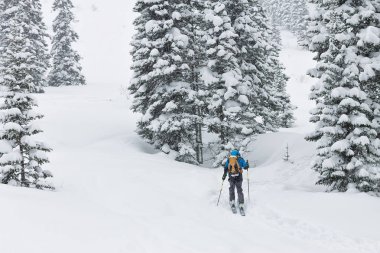 Erkek kayakçı freeride skitur yokuş yukarı kış ormandaki karda