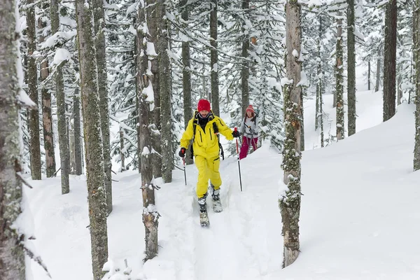 Hombre esquiador freeride skitur cuesta arriba en la nieve en el bosque de invierno — Foto de Stock