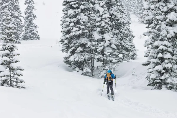 Maschio sciatore freeride skitur in salita nella neve nella foresta invernale — Foto Stock