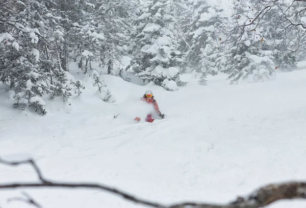 Skirennfahrerin stürzt bei Schneefall auf Pulverschnee in den Bergen — Stockfoto