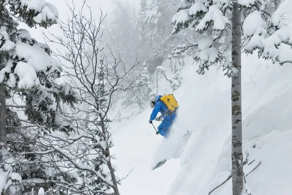 Ski piloto livre salta de um trampolim de neve em árvores nas montanhas — Fotografia de Stock