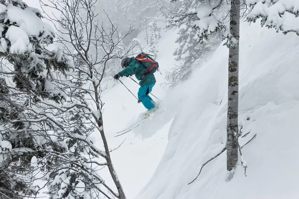 Free rider kayakçı bir sıçrama tahtası dağlarda ağaçlarda kar üzerinden atlar