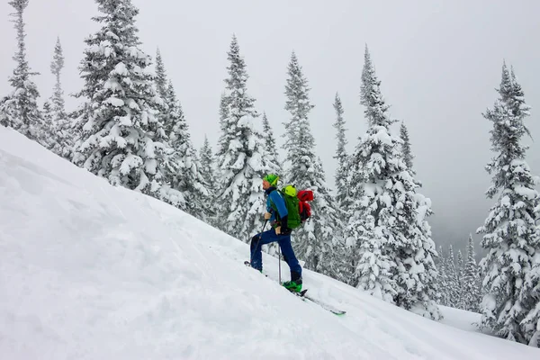 Esquiador macho freeride skitur subida na neve na floresta de inverno — Fotografia de Stock