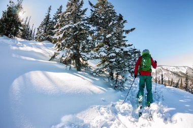 Erkek kayakçı freeride skitur yokuş yukarı kış ormandaki karda.
