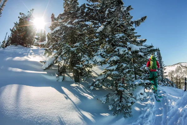 Hombre esquiador freeride skitur cuesta arriba en la nieve en el bosque de invierno — Foto de Stock