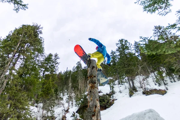 Freestyle snowboarder rende pianura in piedi su un tronco in una foresta nelle montagne invernali — Foto Stock