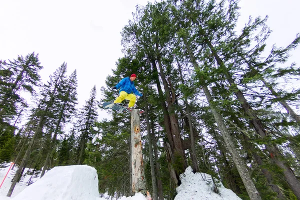 Freestyle-Snowboarder lässt flaches Land auf einem Baumstamm im Wald in den Winterbergen stehen — Stockfoto