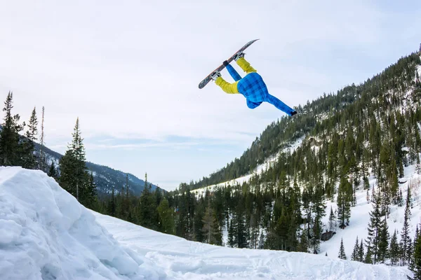 スノーボーダー freerider 森林および山の背景に太陽の下で雪のランプからジャンプ — ストック写真