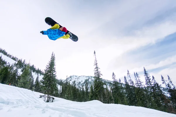 Snowboarder freerider pulando de uma rampa de neve ao sol em um fundo de floresta e montanhas — Fotografia de Stock