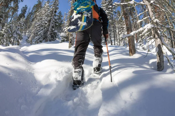 Hombre asiático snowboarder freeride en raquetas de nieve se levanta cuesta arriba en invierno en la nieve — Foto de Stock