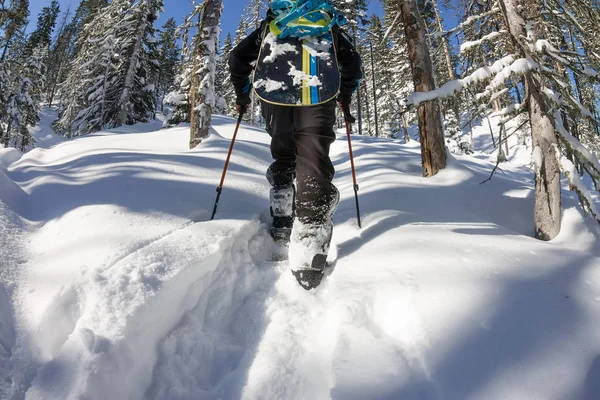 Asiatico uomo snowboarder freeride in ciaspole sorge in salita in inverno sulla neve — Foto Stock