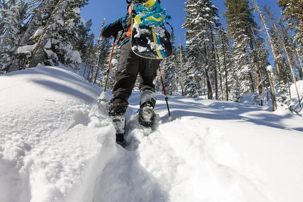 Hombre asiático snowboarder freeride en raquetas de nieve se levanta cuesta arriba en invierno en la nieve — Foto de Stock