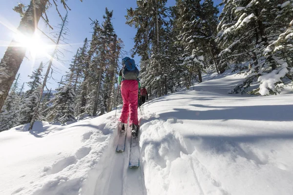 Woman skier freeride skitur uphill in snow in winter forest — Stock Photo, Image