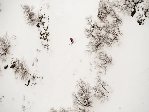 Freerider narciarz opada stromym stoku biały śnieg i drzew w górach Kaukazu — Zdjęcie stockowe