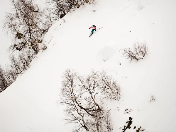 Frittstående skiløper går ned en bratt skråning av hvit snø og trær i Kaukasus – stockfoto