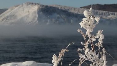 Bush frost bi rüzgar Baykal Gölü su üstünde kar ile kaplı