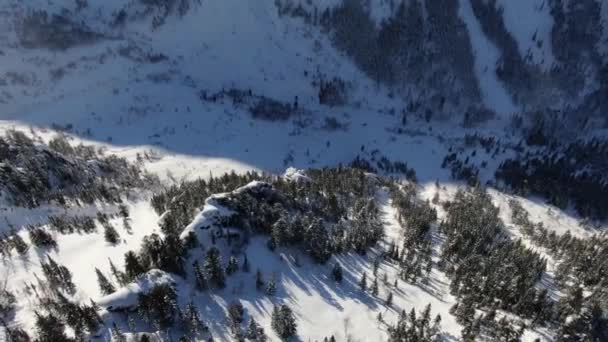 Drohnenflug um eine Klippe auf einem schneebedeckten Berg inmitten des Waldes — Stockvideo