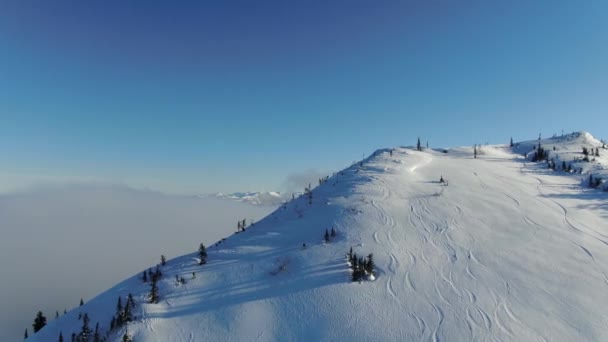 Повітря з дрона пари фрілансерів лижні гастролі в засніжених горах піднімаються на лінію — стокове відео