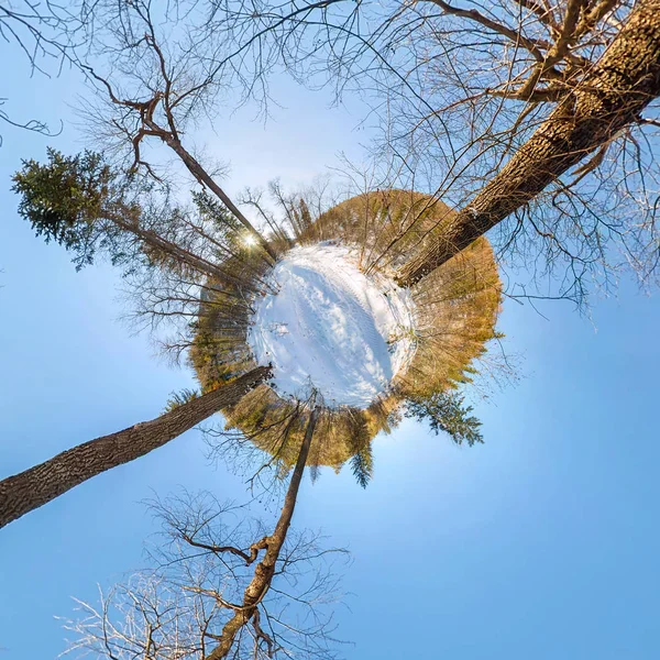 Kış orman şafakta yola. küçük gezegen 360 panorama — Stok fotoğraf
