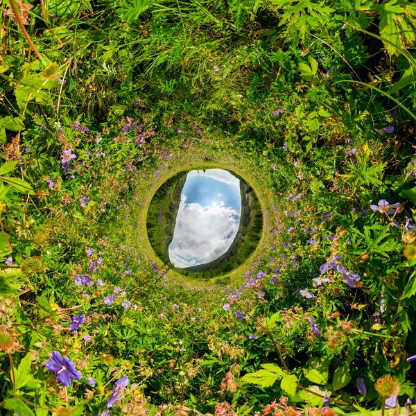 Campo di tè di salice in una giornata nuvolosa. Panorama sferico a 360 gradi vr. Piccolo pianeta 360vr panorama — Foto Stock