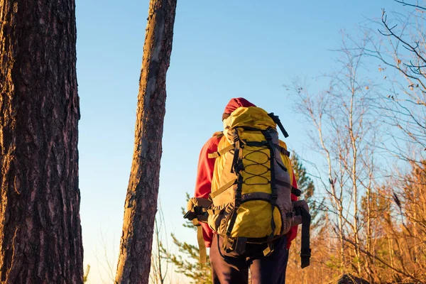 Man Backpacker staat in het bos bij zonsondergang in de herfst in gele bomen — Stockfoto