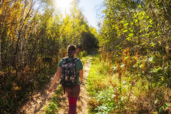 Lány egy hátizsákban sétálni egy erdei ösvényen a reggeli fényben — Stock Fotó