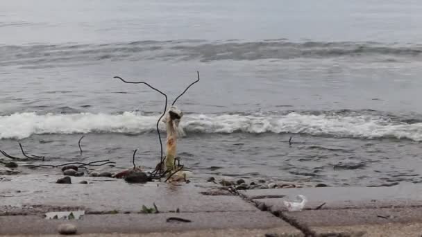 Duże fale przerwy na betonowej molo z kamienia w zanieczyszczonym plastiku w burzy na jeziorze Bajkał w wielkim morzu — Wideo stockowe