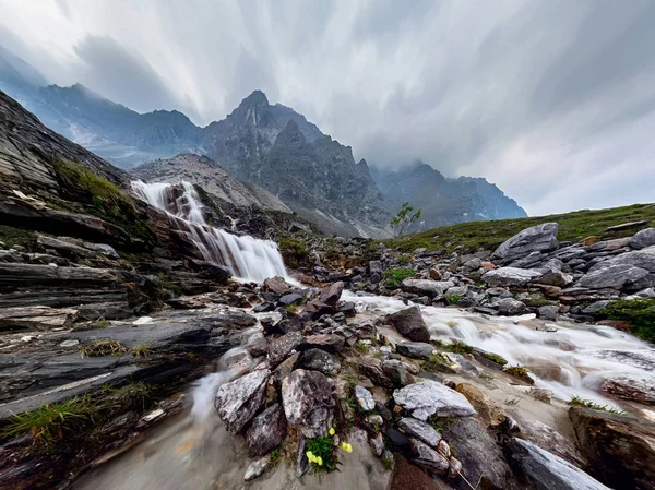 Montagne ruisseau cascade par temps pluvieux brumeux dans la vallée fleurs — Photo